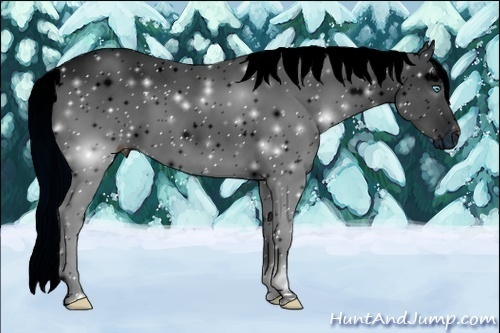 Horse Color:ERROR: UNKNOWN ANOMALY