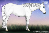 Horse Color:Gray Bay Dun Splash Frame Rabicano 