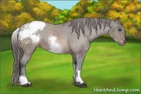 Horse Color:White Spotted Bay Mushroom Snowcap 