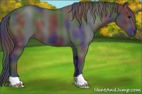 Horse Color:Nacre Black 