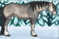 Horse Color:Blue Onyx Sabino
