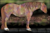 Horse Color:Nacre Chestnut 