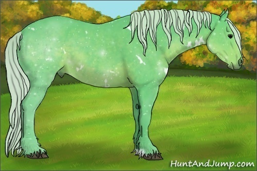 Horse Color:Watercolor White Spotted Silver Black 