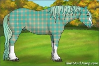 Horse Color:Plaid  Chestnut 