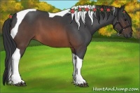 Horse Color:Brown Roan Tobiano 