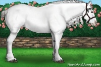 Horse Color:Liver Chestnut Sabino Varnish 
