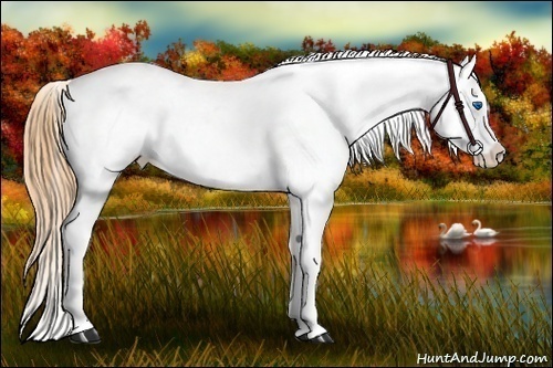 Horse Color:Buckskin Splash Varnish