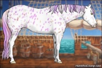 Horse Color:Watercolor Gold Champagne Sabino Tobiano Frame Appaloosa  and Watercolor Gold Champagne Splash Appaloosa 