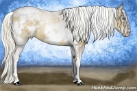 Horse Color:Liver Chestnut Pearl Tobiano Appaloosa  and White Spotted Liver Red Dun Pearl Tobiano 