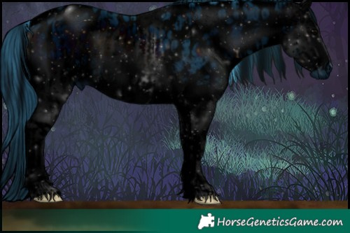 Horse Color:ERROR: UNKNOWN ANOMALY and ERROR: UNKNOWN ANOMALY