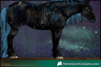 Horse Color:ERROR: UNKNOWN ANOMALY and ERROR: UNKNOWN ANOMALY