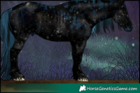 Horse Color:ERROR: UNKNOWN ANOMALY and ERROR: UNKNOWN ANOMALY