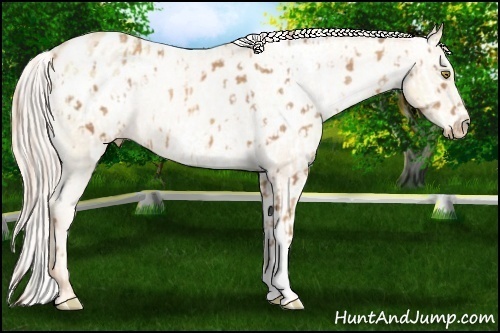 Horse Color:Gold Champagne Near Leopard  and White Spotted Silver Sable Champagne Pearl Varnish 