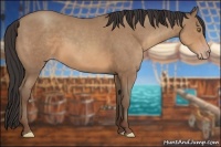 Horse Color:Sable Champagne 