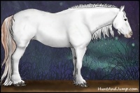 Horse Color:Silver Smoky Blue Roan Appaloosa  and Classic Champagne Appaloosa 