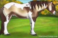 Horse Color:Red Onyx Tobiano 