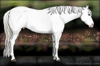 Horse Color:Liver Red Roan Splash Appaloosa 