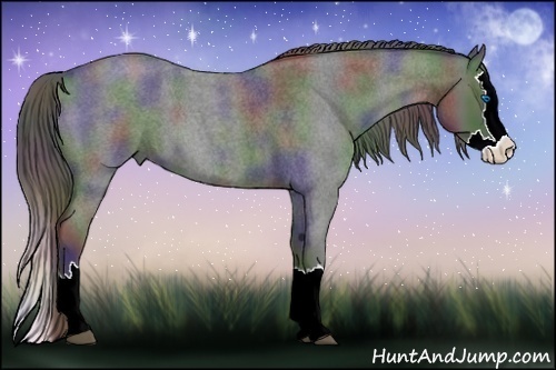 Horse Color:Nacre Blue Roan Splash