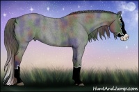 Horse Color:Nacre Blue Roan Splash