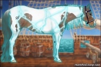 Horse Color:Thunderstruck Liver Chestnut Tobiano