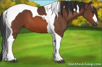 Horse Color:Bay Tobiano