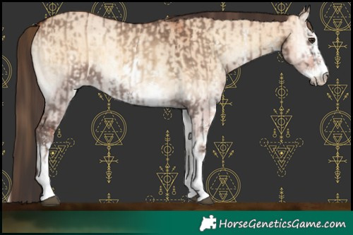 Horse Color:Liver Red Dun Onyx Sabino Rabicano Brindle  and Bay Onyx Sabino Rabicano Brindle 