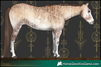 Horse Color:Liver Red Dun Onyx Sabino Rabicano Brindle and Bay Onyx Sabino Rabicano Brindle