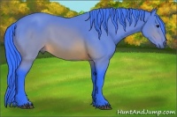 Horse Color:Watercolor Brown 