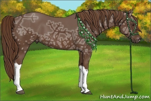Horse Color:Liver Chestnut Ice