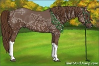 Horse Color:Liver Chestnut Ice 