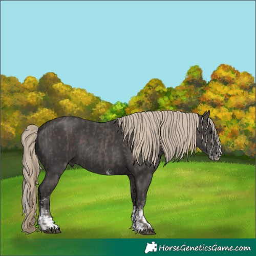 Horse Color:Silver Black Sabino Rabicano and Liver Chestnut Sabino Rabicano