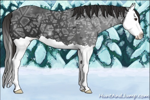 Horse Color:Liver Chestnut Ice Splash 