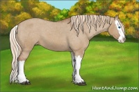 Horse Color:Red Dun Splash Varnish 