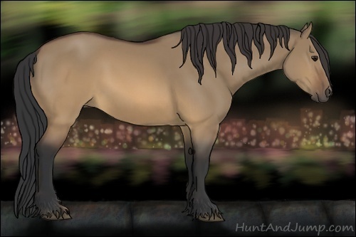 Horse Color:Brown Dun 