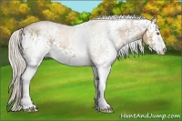 Horse Color:White Spotted Silver Black Pearl Sabino 
