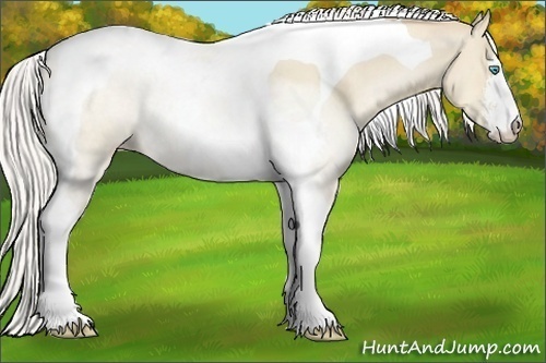 Horse Color:Silver Smoky Grullo Pearl Sabino Tobiano Rabicano 