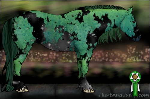 Horse Color:ERROR: UNKNOWN ANOMALY