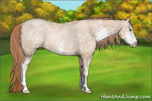 Horse Color:Smoky Black Ice Pearl Sabino Rabicano 