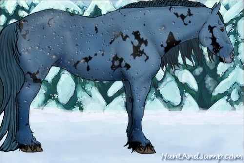 Horse Color:ERROR: UNKNOWN ANOMALY