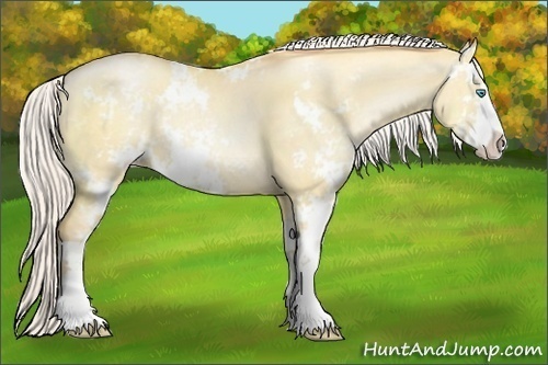Horse Color:Silver Classic Champagne Pearl Dun Sabino 