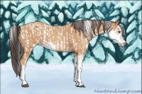 Horse Color:Bay Sabino Rabicano and Amber Champagne Sabino Rabicano