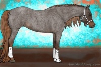 Horse Color:Liver Red Roan 
