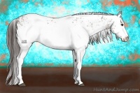 Horse Color:White Spotted Liver Chestnut Ice Appaloosa Rabicano