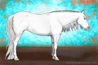 Horse Color:Chocolate Palomino Ice Pearl Tobiano Appaloosa