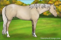 Horse Color:Silver Grullo Pearl 