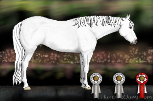 Horse Color:Gray Palomino Roan Frame 