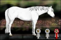 Horse Color:Gray Palomino Roan Frame 
