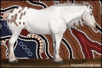 Horse Color:Red Roan Appaloosa 