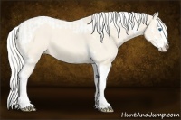 Horse Color:Cremello Splash and Cremello Splash Tobiano