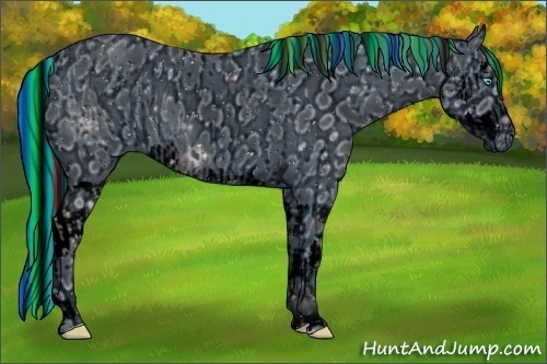 Horse Color:ERROR: UNKNOWN ANOMALY and ERROR: UNKNOWN ANOMALY